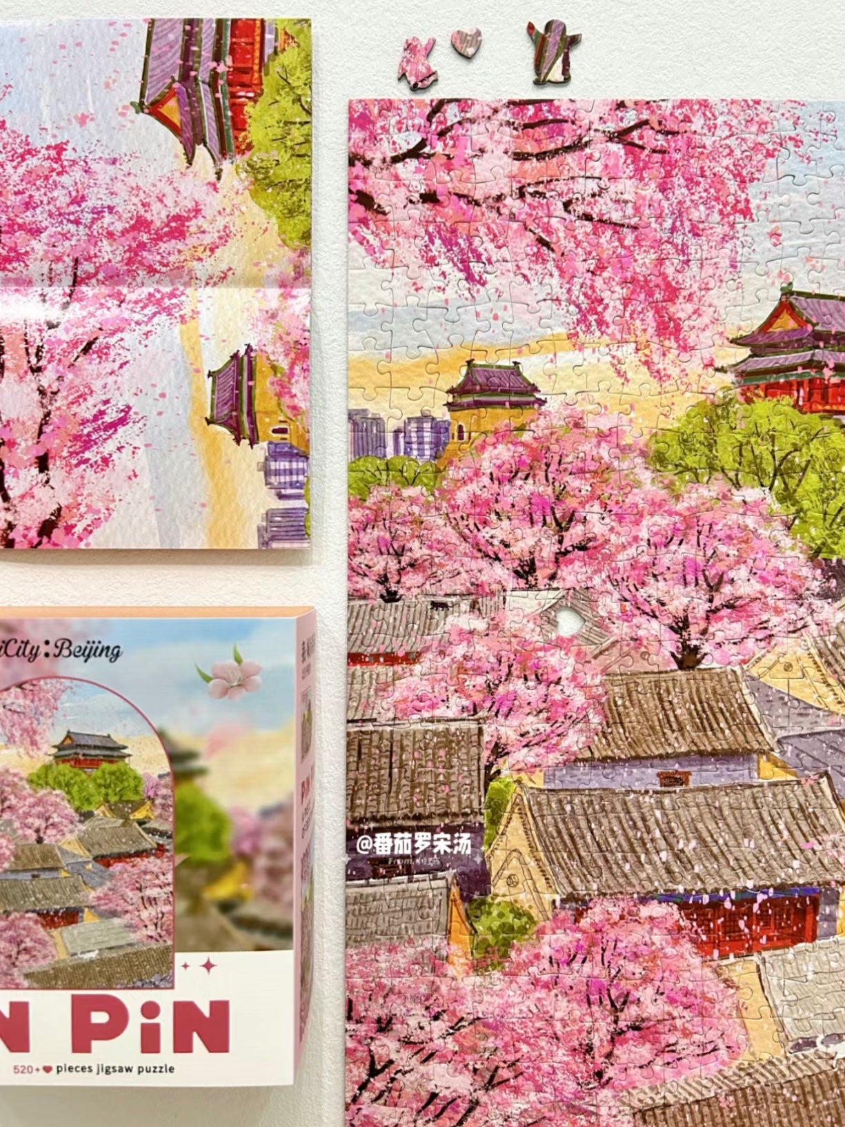 iCity: Beijing - 521 piece puzzle